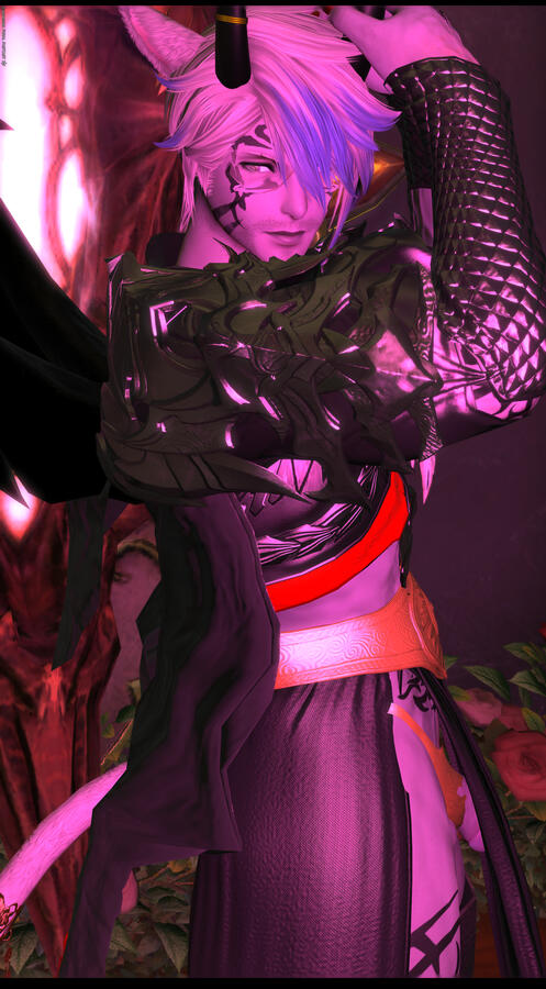 The Dark Side of the Fae The Dark Side of the Fae