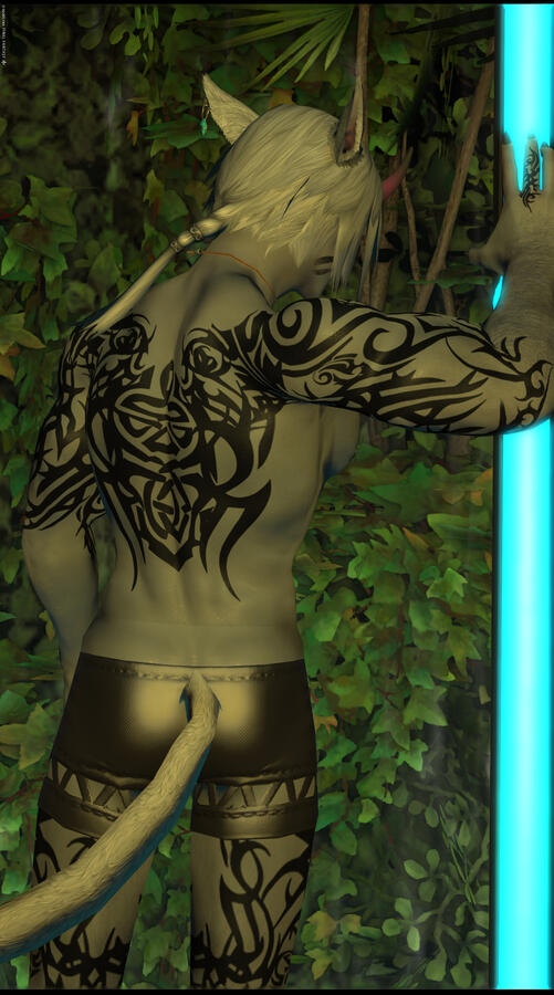 Liking What You See? Liking What You See?